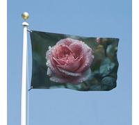 Drapeau de cour double face de 88,9 x 150 cm - Drapeau de jardin avec roses sous la pluie - Drapeau de bienvenue pour l'extérieur - Avec œillets en laiton - Grand drapeau d'extérieur pour cour, jardin