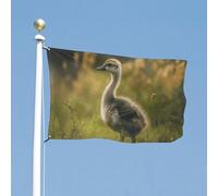 Drapeau de cour double face de 88,9 x 150 cm - Drapeau de jardin « Little Duck in the Field » - Drapeau de bienvenue pour l'extérieur - Bannière de vacances avec œillets en laiton - Drapeau de maison