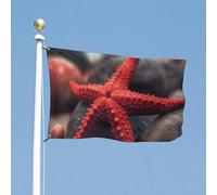 Drapeau de cour double face de 88,9 x 150 cm - Petite étoile de mer rouge - Drapeau de bienvenue pour l'extérieur - Bannière de vacances avec œillets en laiton - Drapeau de maison pour printemps et