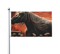 Drapeau de cour double face de 9,6 x 1,5 m pour extérieur/intérieur - Drapeau romantique Mustang - Bannières de bienvenue pour jardin, maison, vacances, décoration d'intérieur