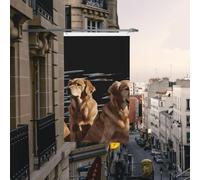 Drapeau de cour double face de 9,6 x 1,5 m pour extérieur/intérieur - Golden Retrievers - Bannières de bienvenue pour jardin, maison, vacances, décoration d'intérieur, drapeaux de jardin