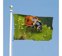 Drapeau de cour double face en forme de coccinelle noire de 88,9 x 150 cm - Drapeau de bienvenue pour l'extérieur avec œillets en laiton - Grand drapeau d'extérieur pour cour, jardin, pelouse