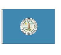 Drapeau De Festival Bannière De Virginie Ville De Virginia Beach Bannière Avec Œillets Double Face Drapeaux De Maison Pour Chambres Extérieure Dortoirs 90X150Cm