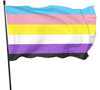 Drapeau de fierté non binaire de 0,9 x 1,5 m avec œillets métalliques, bannière en polyester durable pour intérieur et extérieur, décoration de la maison et du jardin