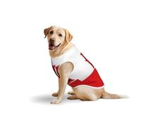 Drapeau de Gibraltar Vêtements pour chiens de taille moyenne et grande - Vêtement en coton doux pour animal de compagnie à porter au quotidien, promenade (taille L, bleu, jaune)