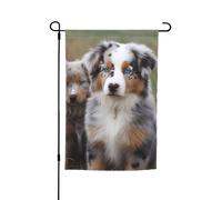 Drapeau de jardin 30,5 x 45,7 cm double face, drapeau de ferme, berger australien, bannière saisonnière d'extérieur pour printemps, été, pelouse, porche, décoration d'intérieur, petit drapeau de