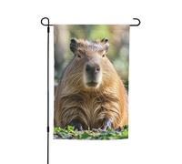 Drapeau de jardin 30,5 x 45,7 cm double face, drapeau de ferme Capybara avec yeux fermés, bannière extérieure saisonnière pour printemps, été, pelouse, porche, décoration d'intérieur, petit drapeau de