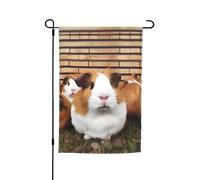 Drapeau de jardin 30,5 x 45,7 cm double face, drapeau de ferme, cochons d'Inde, bannière saisonnière d'extérieur pour printemps, été, pelouse, porche, décoration d'intérieur, petit drapeau de jardin