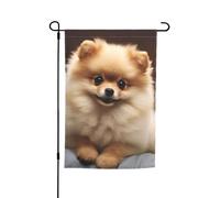 Drapeau de jardin 30,5 x 45,7 cm double face, drapeau de ferme de vacances de cour, joli chien de Poméranie, bannière saisonnière d'extérieur pour printemps, été, pelouse, porche, décoration