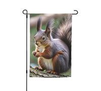 Drapeau de jardin 30,5 x 45,7 cm double face, drapeau de ferme, écureuil mignon, bannière saisonnière d'extérieur pour printemps, été, pelouse, porche, décoration d'intérieur, petit drapeau de jardin