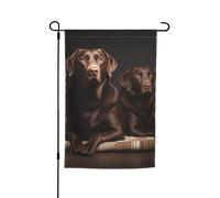 Drapeau de jardin 30,5 x 45,7 cm double face, drapeau de ferme, labrador retriever, bannière d'extérieur saisonnière pour printemps, été, pelouse, porche, décoration d'intérieur, petit drapeau de