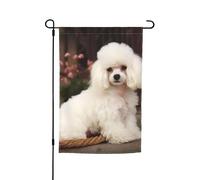 Drapeau de jardin 30,5 x 45,7 cm, double face pour le printemps et l'été, bannière de jardin caniche français, petit drapeau saisonnier pour les vacances, décoration extérieure