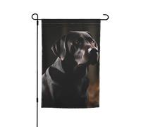 Drapeau de jardin 30,5 x 45,7 cm, double face pour le printemps et l'été - Bannière de jardin - Labrador noir - Petit drapeau saisonnier - Décoration extérieure