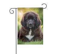 Drapeau de jardin 30,5 x 45,7 cm double face vertical bienvenue drapeau d'été ne se décolore pas drapeaux de maison mignon animal de compagnie terre-neuve bannière de cour pour ferme saisonnière cour