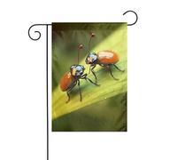 Drapeau de jardin 30,5 x 45,7 cm double face vertical, ne se décolore pas, drapeaux de maison, insectes, amour, cour, bannière pour décoration extérieure saisonnière