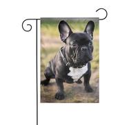 Drapeau de jardin 30,5 x 45,7 cm WHJSHOP bouledogue français, décoration de jardin épaisse infroissable pour jardin, pelouse, terrasse