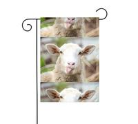 Drapeau de jardin 30,5 x 45,7 cm YUGTAEE drôle langue de mouton coquine impression animal mignon décoration de jardin épais infroissable pour extérieur jardin, pelouse, terrasse
