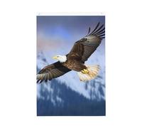 Drapeau de jardin à motif d'aigle à tête blanche - 61 x 91 cm - Ne se décolore pas - Double face - Bannière d'extérieur pour cour, porche, pelouse