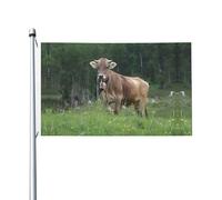 Drapeau de jardin à motif de vache suisse véritable marron double face, 90 x 150 cm, résistant à la décoloration, pour porche, balcon, pelouse, intérieur et extérieur, mât non inclus