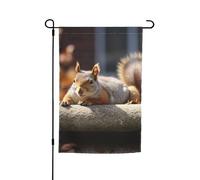 Drapeau de jardin à motif écureuil qui vient de se coucher - Drapeau double face de ferme - 30,5 x 45,7 cm - Bannière extérieure saisonnière pour printemps, été, pelouse, porche, décoration