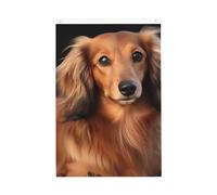 Drapeau de jardin à poils longs Teckel de bienvenue 61 x 91 cm - Ne se décolore pas - Double face - Bannière d'extérieur pour cour, porche, pelouse