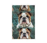 Drapeau de jardin amusant avec bouledogue anglais - 61 x 91 cm - Ne se décolore pas - Double face - Bannière d'extérieur pour cour, porche, pelouse