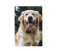 Drapeau de jardin amusant Golden Retriever - 61 x 91 cm - Double face - Ne se décolore pas - Toile de fond pour photo - Bannière pour cour, porche, pelouse, décoration extérieure