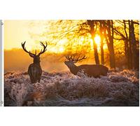 Drapeau De Jardin Animal Deers In Autumn Sunrise Wildlife Nature Garden Flag Couleur Vive Drapeaus Décoratif Amusante Drapeau De Bienvenue Pour Patio Pavillon Cour 152X90CM