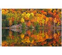 Drapeau De Jardin Autumn Lake River Reflection Fall Golden Yellow Tree Seasonal Scenery Garden Flag Premium Drapeau De Bienvenue Amusante Drapeaus Décoratif Pour Pavillon Cour Patio 152X90CM