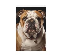 Drapeau de jardin avec bouledogue anglais - 61 x 91 cm - Ne se décolore pas - Double face - Bannière d'extérieur pour cour, porche, pelouse