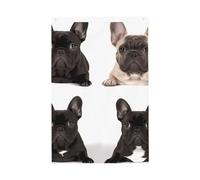 Drapeau de jardin avec bouledogue français - 61 x 91 cm - Ne se décolore pas - Double face - Bannière d'extérieur pour cour, porche, pelouse