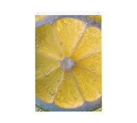 Drapeau de jardin avec bulles de citron - 61 x 91 cm - Double face - Ne se décolore pas - Toile de fond pour photo - Bannière pour cour, porche, pelouse, décoration extérieure
