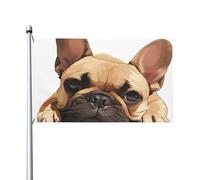 Drapeau de jardin avec imprimé bouledogue français 91 x 152 cm