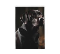 Drapeau de jardin avec labrador noir - 61 x 90 cm - Double face - Ne se décolore pas - Toile de fond pour photo - Bannière pour cour, porche, pelouse, décoration extérieure