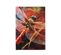 Drapeau de jardin avec libellule rouge - 61 x 91 cm - Double face - Ne se décolore pas - Toile de fond pour photo - Bannière pour cour, porche, pelouse, décoration extérieure