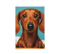 Drapeau de jardin avec teckel - 61 x 91 cm - Ne se décolore pas - Double face - Bannière d'extérieur pour cour, porche, pelouse