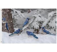 Drapeau De Jardin Beautiful Birds On Snow Trees Wild Animals Winter Drapeau De Bienvenue Couleur Vive Pride Flag Premium Drapeaus Décoratif Pour Pelouse Cour Pavillon 152X90CM