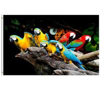 Drapeau De Jardin Beautiful Parrot Birds Nature Wild Animals Drapeaus Décoratif Antifouling Pride Flag Couleur Vive Drapeau De Bienvenue Pour Patio Pelouse Pavillon 152X90CM