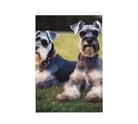 Drapeau de jardin bienvenu avec chiens schnauzer adultes - 61 x 91 cm - Double face - Ne se décolore pas - Toile de fond pour photo - Bannière pour cour, porche, pelouse, décoration extérieure