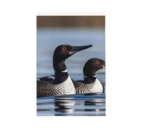 Drapeau de jardin bienvenu Loon Birds - 61 x 91 cm - Ne se décolore pas - Double face - Bannière d'extérieur pour cour, porche, pelouse