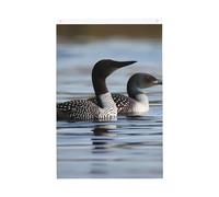 Drapeau de jardin bienvenu Loon Birds - 61 x 91 cm - Ne se décolore pas - Double face - Bannière d'extérieur pour cour, porche, pelouse