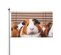 Drapeau de jardin bienvenue aux cochons d'Inde - 90 x 150 cm - Ne se décolore pas - Double face - Bannière d'extérieur pour cour, porche, pelouse