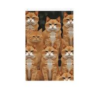 Drapeau de jardin bienvenue chat orange 61 x 91 cm - Ne se décolore pas - Double face - Bannière d'extérieur pour cour, porche, pelouse