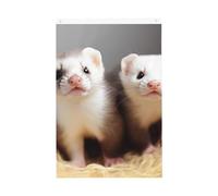 Drapeau de jardin bienvenue furets 61 x 91 cm double face qui ne se décolore pas pour maison, cour, porche, pelouse, décoration extérieure