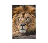 Drapeau de jardin bienvenue Lion au repos - 61 x 91 cm - Double face - Ne se décolore pas - Toile de fond pour photo - Bannière pour cour, porche, pelouse, décoration extérieure