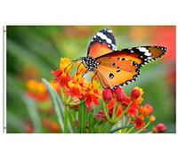 Drapeau De Jardin Butterfly Insects In On Flowers Spring Summer Natural Seasonal Garden Flag Couleur Vive Drapeau De Bienvenue Premium Drapeaus Décoratif Pour Pavillon Cour Patio 152X90CM