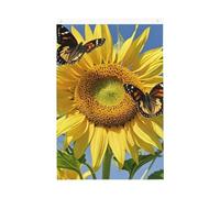 Drapeau de jardin « Butterflys On The Sunflowers Welcome » - 61 x 91 cm - Ne se décolore pas - Double face - Bannière d'extérieur pour cour, porche, pelouse