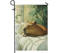 Drapeau de jardin Capybara confortable - Motif animal marron doux - Décoration d'extérieur saisonnière pour l'été - Accents d'intérieur sur le thème de la nature - 30,5 x 45,7 cm