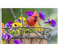 Drapeau De Jardin Cardinal Bird In Purple Yellow Flower Basket Spring Summer Wildlife Animal Nature Drapeaus Décoratif Antifouling Pride Flag Couleur Vive Drapeau De Bienvenue Pour Cour 152X90CM