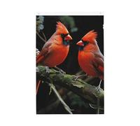 Drapeau de jardin Cardinals Oiseaux Fauna Wild Welcome Garden Flag No Fade Double Face Maison Yard Bannière Décoration pour Cour, Porche Pelouse